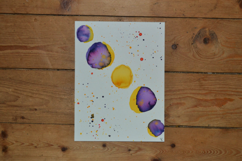 Moon Phases