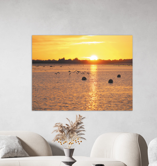 ENERGIE DU SOIR  Photo sur toile d'un coucher de soleil et de mouettes, à Séné, Golfe du Morbihan