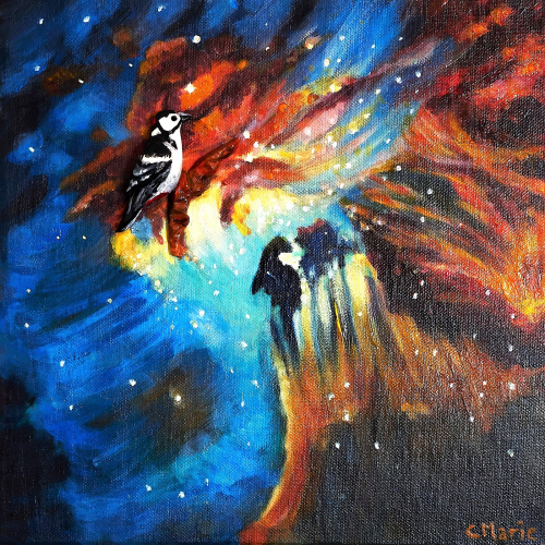 OISEAU VERITE
