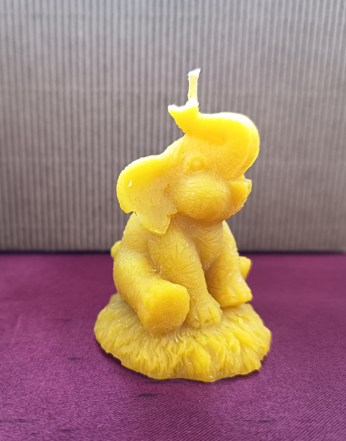 Petit éléphant trompe en l'air