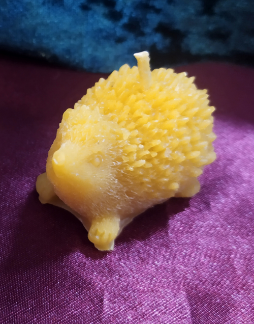 Bougie petit hérisson