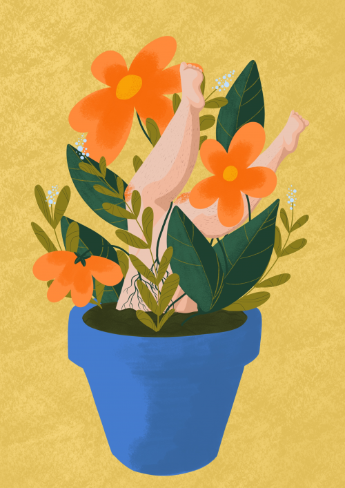 À fleur de pot