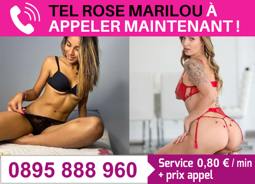 Tel rose Marilou