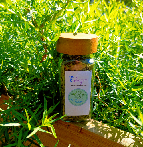 Estragon Séché en Pot de 12 g. Le secret d’une cuisine raffinée à portée de main !
