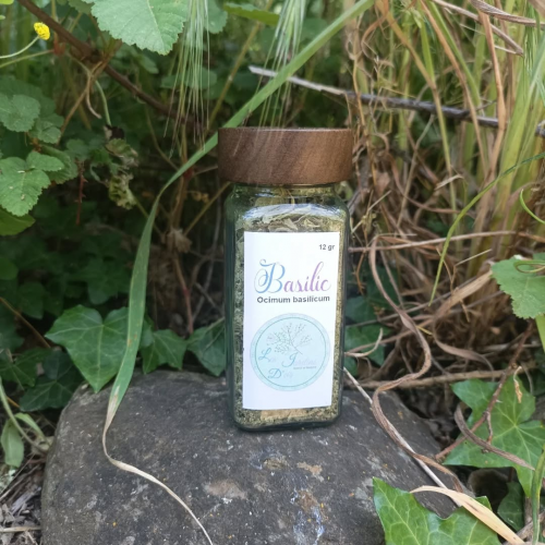 Basilic en Pot 12g – Saveur Fraîche et Intense de Provence