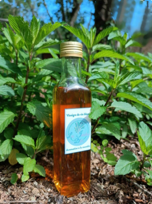 Vinaigre de vin blanc à la menthe – fraîcheur & raffinement