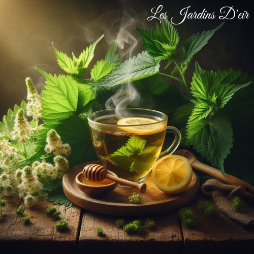 L'Infusion d'ortie, la force douce des plantes