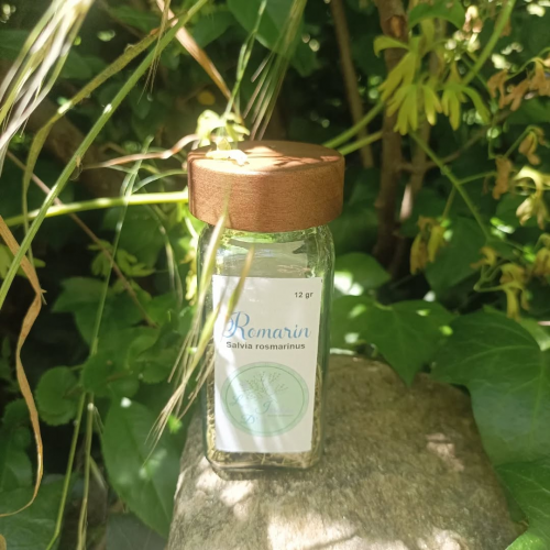 Romarin en Pot 12g – Parfum Intense et Saveur Méditerranéenne Authentique