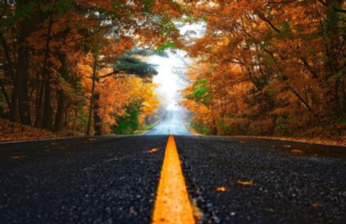 ☆ Guidance Cheminement Personnel ☆