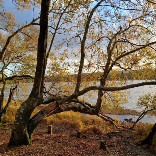 ☆ Accompagnement 3 séances ☆