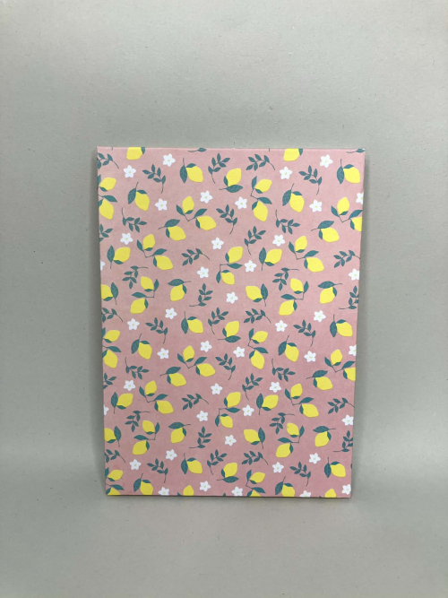 Petit cahier avec pages blanches et lignes