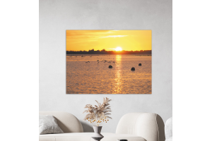 ENERGIE DU SOIR  Photo sur toile d'un coucher de soleil et de mouettes, à Séné, Golfe du Morbihan