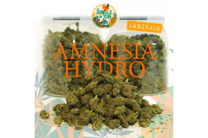 FLEURS DE CBD FLEURS DE CBD