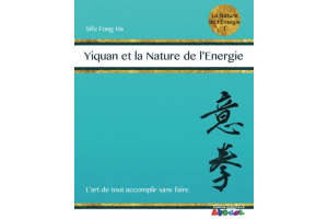 Yiquan et la Nature de l'Energie: L'Art de tout accomplir sans faire.