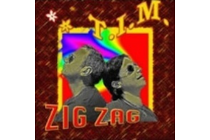 Saline et son Jules - Album Zig Zag