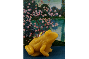 Grenouille