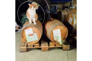 RHUM - 5 ANS - BRUT DE FÛT - 50L
