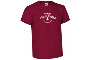 Tee Shirt Breizh United