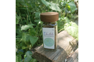 Ciboulette en Pot 12g – Fraîcheur et Saveur Subtile pour Vos Recettes