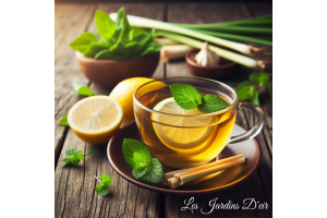 la mélisse citronnelle, l'alliée fraîcheur et apaisante