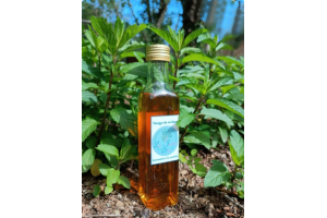 Vinaigre de vin blanc à la menthe – fraîcheur & raffinement