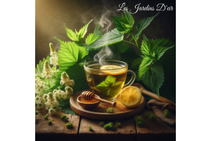L’Ortie : Vitalité et Nature dans votre Tasse !