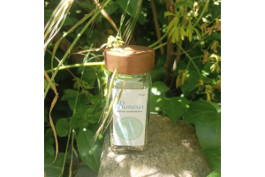 Romarin en Pot 12g – Parfum Intense et Saveur Méditerranéenne Authentique