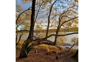 ☆ Accompagnement 3 séances ☆