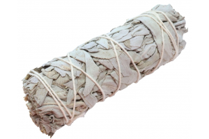 Sauge Blanche en fagot