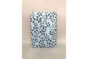 Petit cahier avec pages blanches et lignes