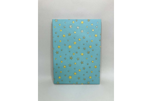 Petit cahier avec pages blanches et lignes