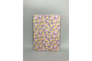 Petit cahier avec pages blanches et lignes