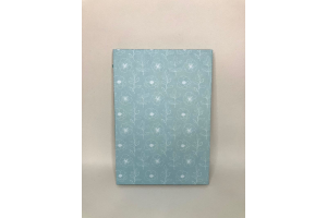 Petit cahier avec lignes