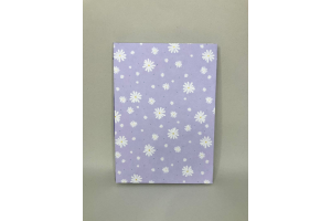 Petit cahier avec lignes