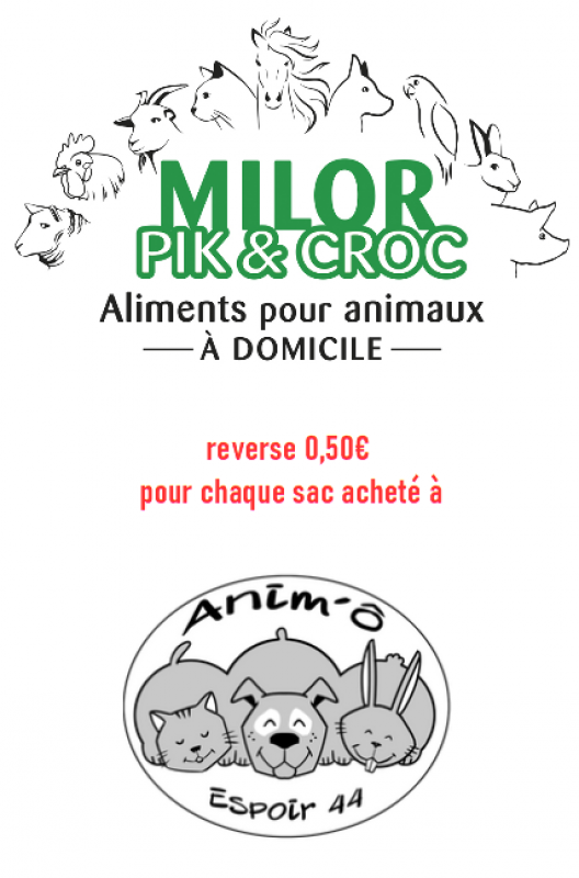 Milor Pik and Croc